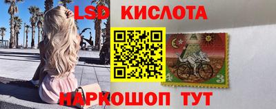 гашик Берёзовский