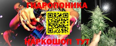 гашик Берёзовский
