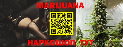 гашик Берёзовский