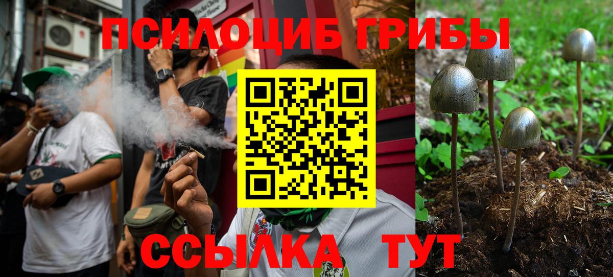 Выборг  Галлюциногенные грибы GOLDEN TEACHER  Вход с VPN  Псилоцибиновые грибы мухоморы 