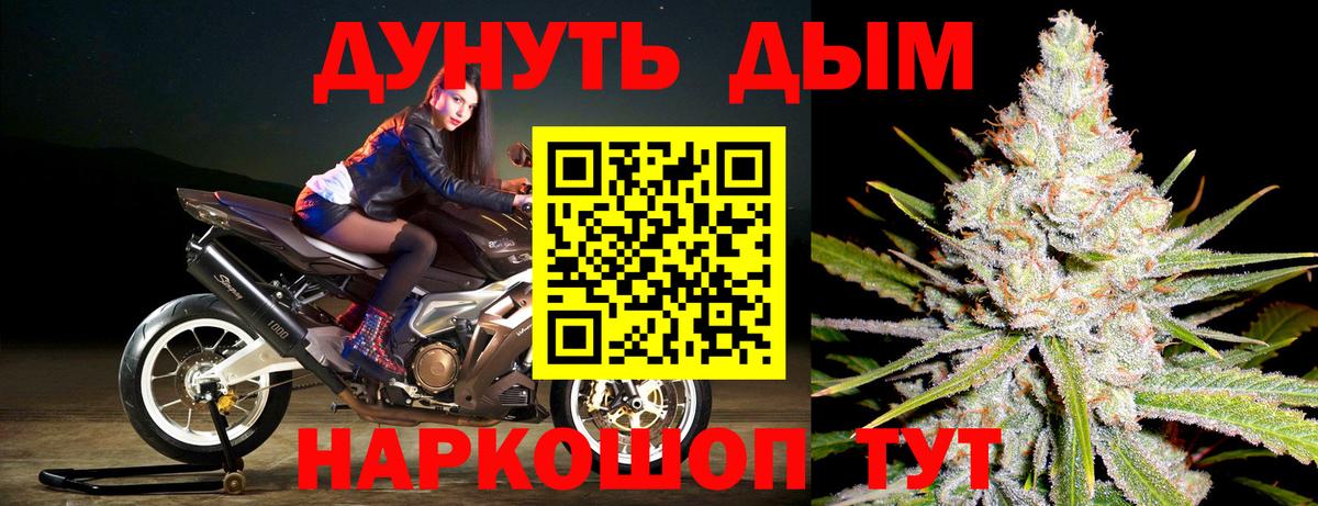 Шишки марихуана марихуана Выборг